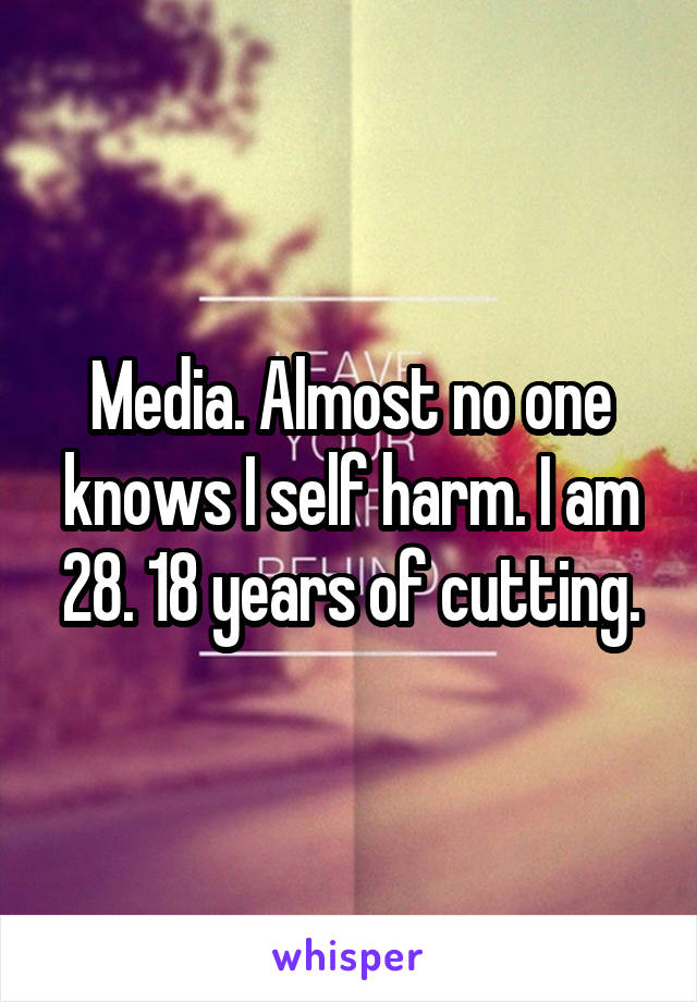 Media. Almost no one knows I self harm. I am 28. 18 years of cutting.