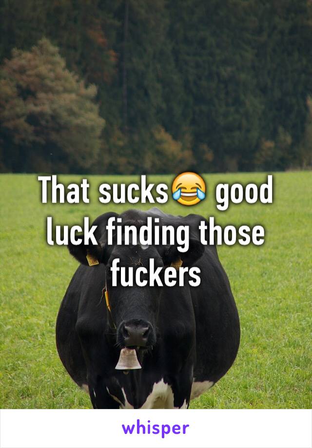 That sucks😂 good luck finding those fuckers