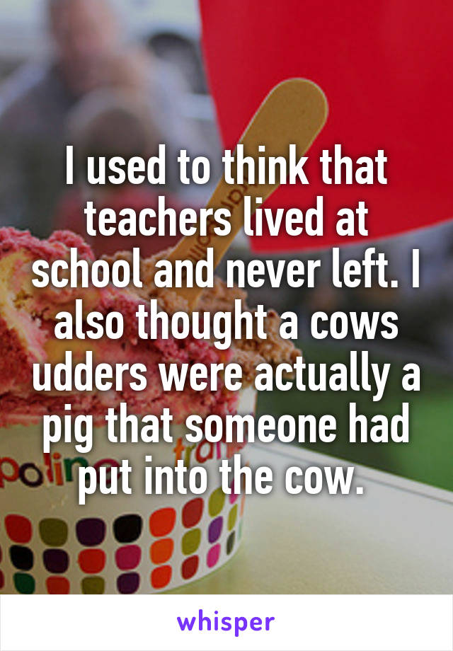 I used to think that teachers lived at school and never left. I also thought a cows udders were actually a pig that someone had put into the cow. 