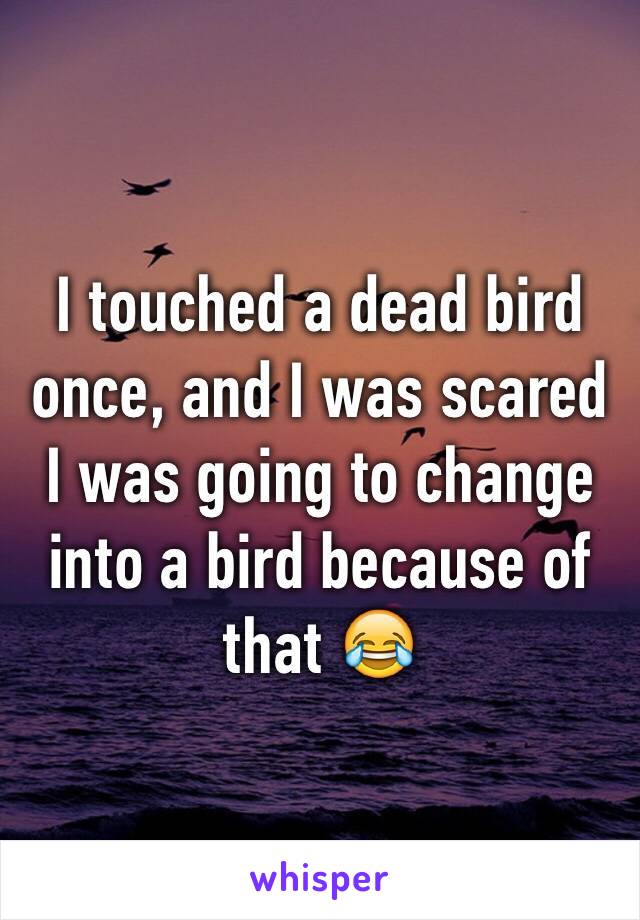 I touched a dead bird once, and I was scared I was going to change into a bird because of that 😂