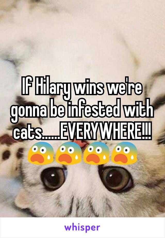 If Hilary wins we're gonna be infested with cats......EVERYWHERE!!!
😨😨😨😨