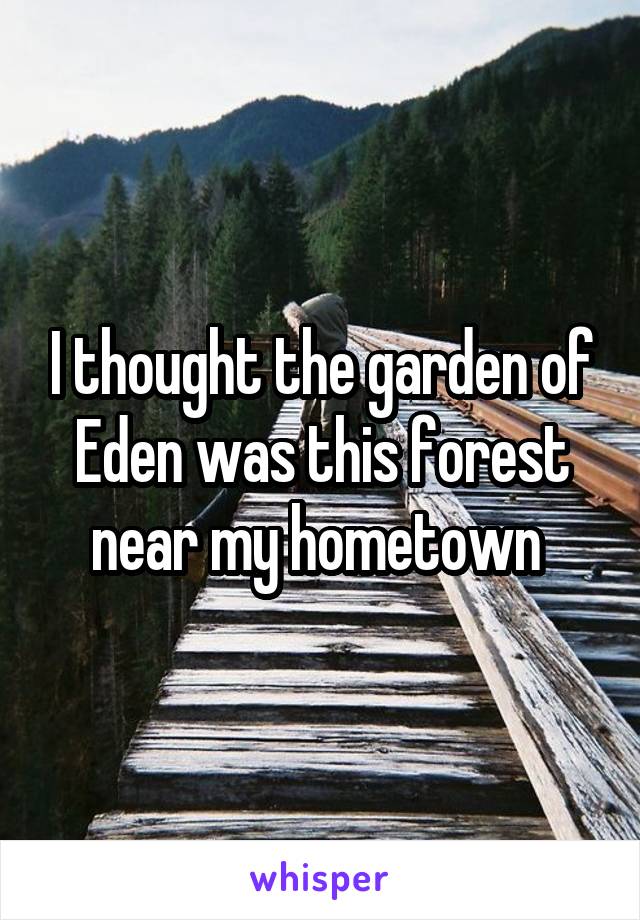 I thought the garden of Eden was this forest near my hometown 