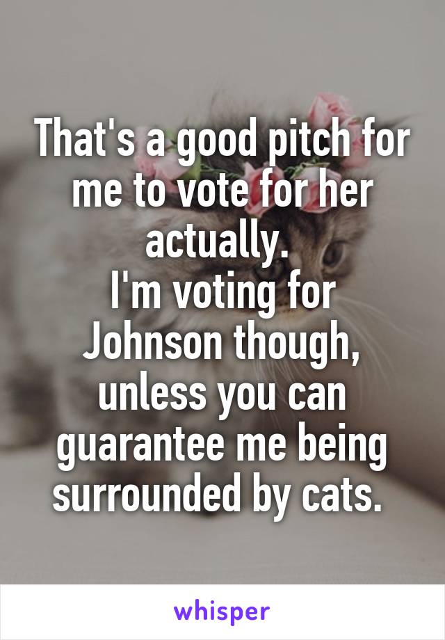 That's a good pitch for me to vote for her actually. 
I'm voting for Johnson though, unless you can guarantee me being surrounded by cats. 