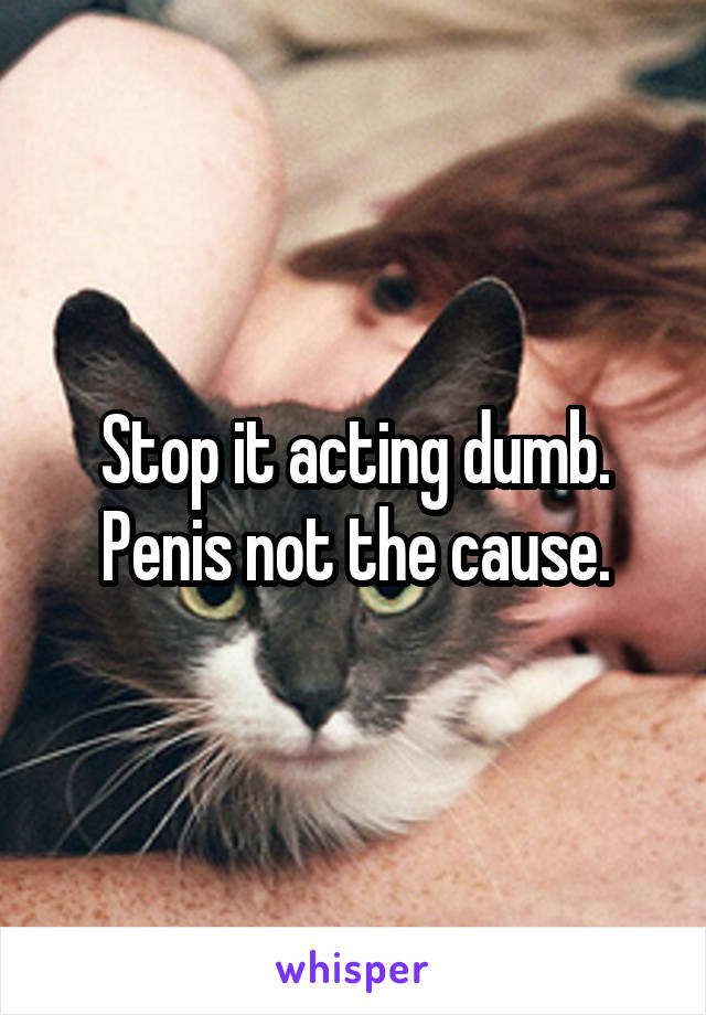 Stop it acting dumb. Penis not the cause.