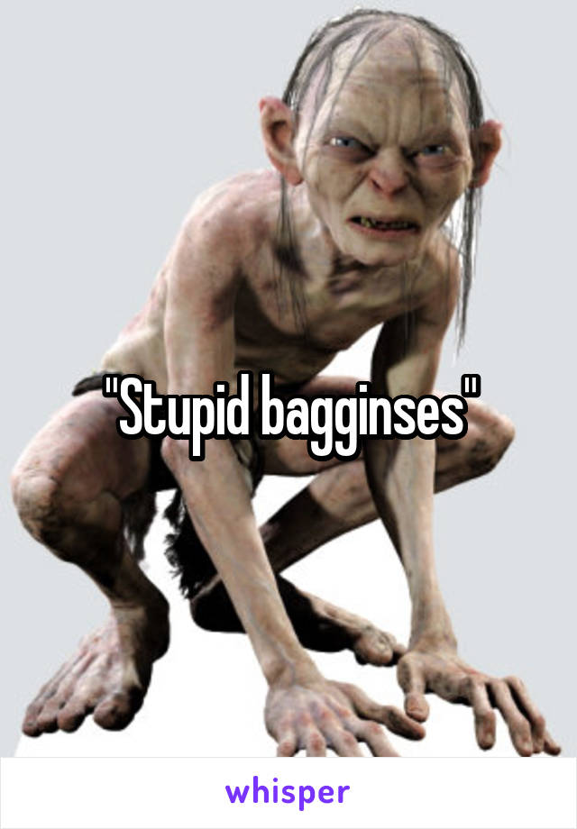 "Stupid bagginses"
