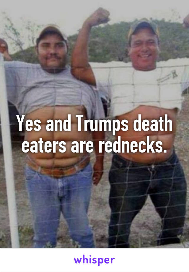 Yes and Trumps death eaters are rednecks.