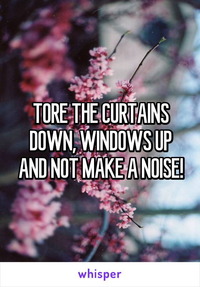 TORE THE CURTAINS DOWN, WINDOWS UP AND NOT MAKE A NOISE!