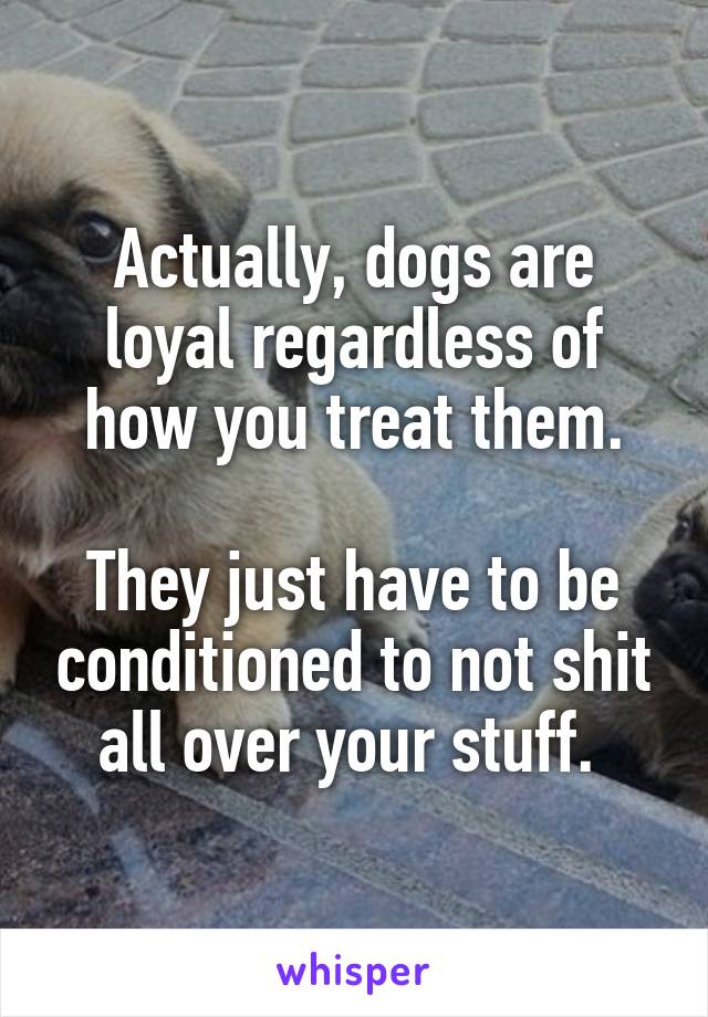 Actually, dogs are loyal regardless of how you treat them.

They just have to be conditioned to not shit all over your stuff. 