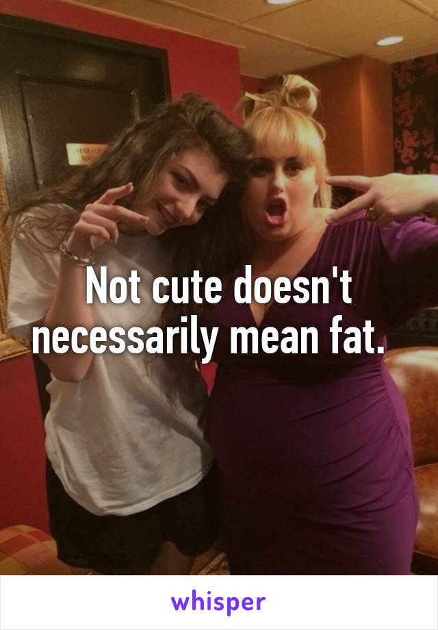 Not cute doesn't necessarily mean fat.  