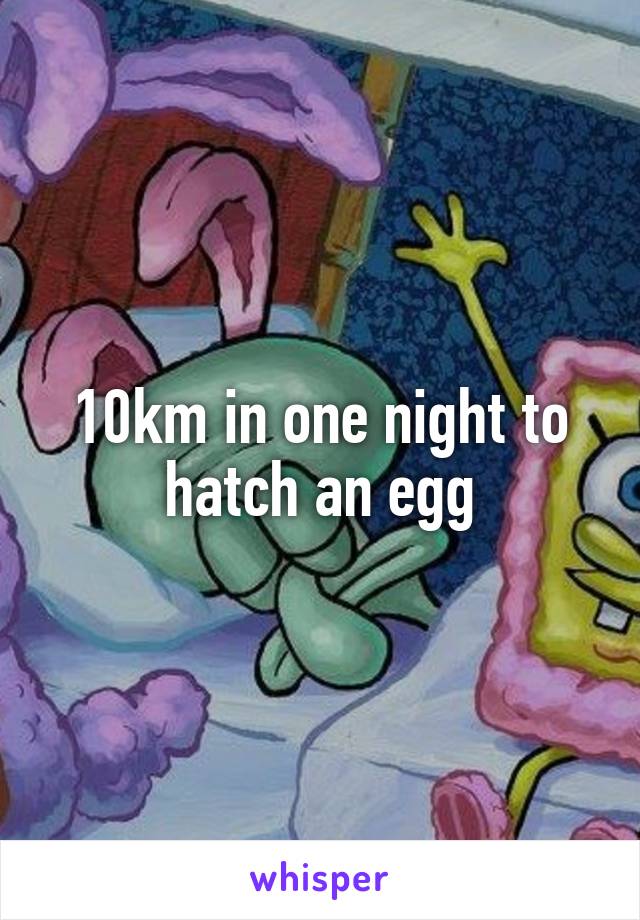 10km in one night to hatch an egg
