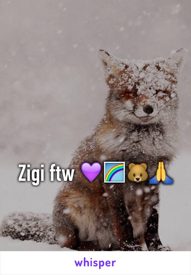 Zigi ftw 💜🌈🐻🙏