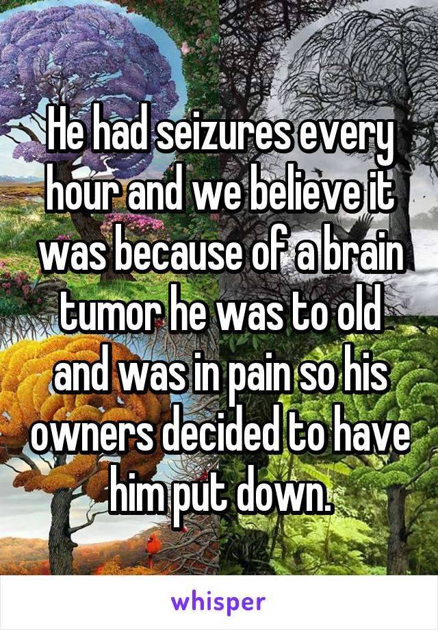 He had seizures every hour and we believe it was because of a brain tumor he was to old and was in pain so his owners decided to have him put down.