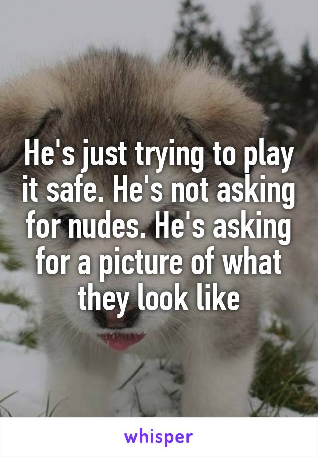 He's just trying to play it safe. He's not asking for nudes. He's asking for a picture of what they look like