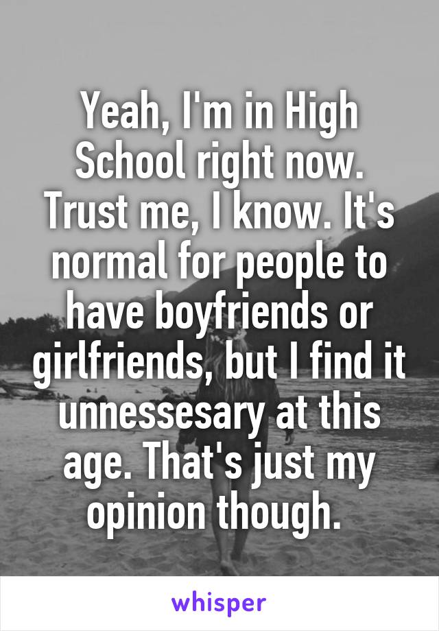 Yeah, I'm in High School right now. Trust me, I know. It's normal for people to have boyfriends or girlfriends, but I find it unnessesary at this age. That's just my opinion though. 