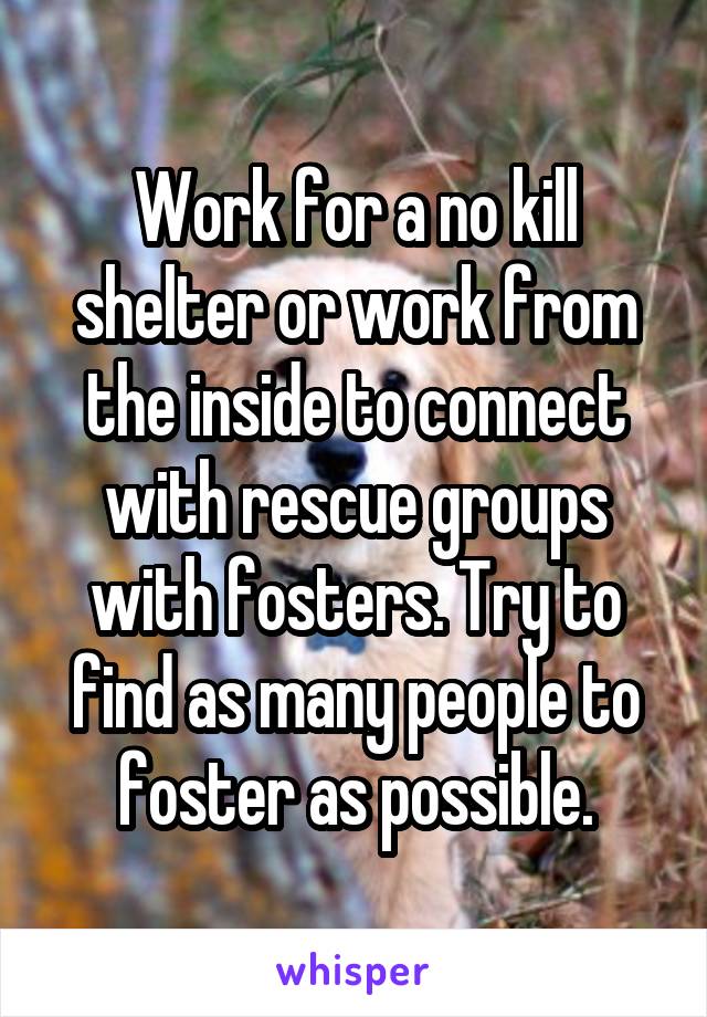 Work for a no kill shelter or work from the inside to connect with rescue groups with fosters. Try to find as many people to foster as possible.