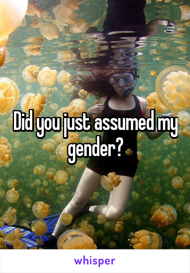 Did you just assumed my gender?