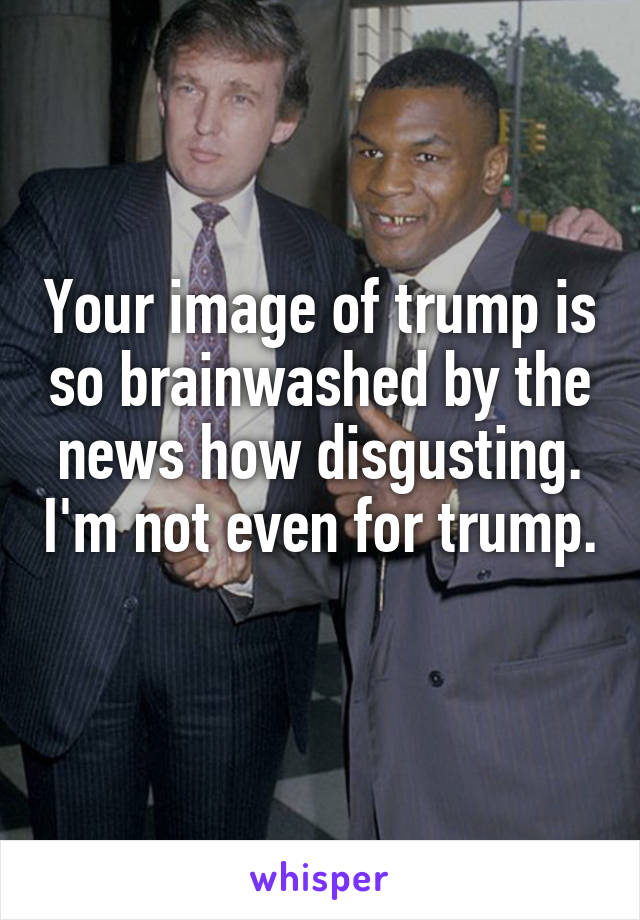 Your image of trump is so brainwashed by the news how disgusting. I'm not even for trump. 