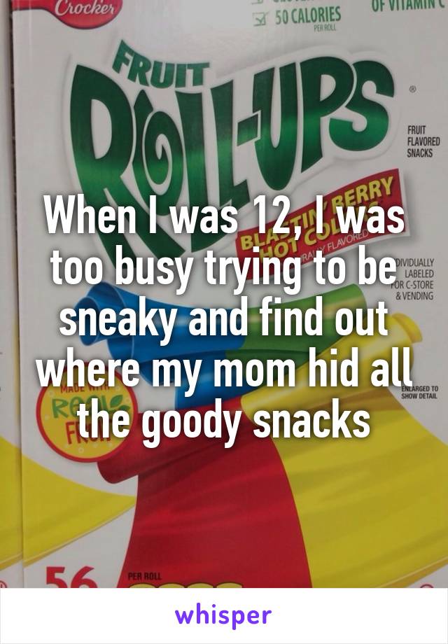 When I was 12, I was too busy trying to be sneaky and find out where my mom hid all the goody snacks