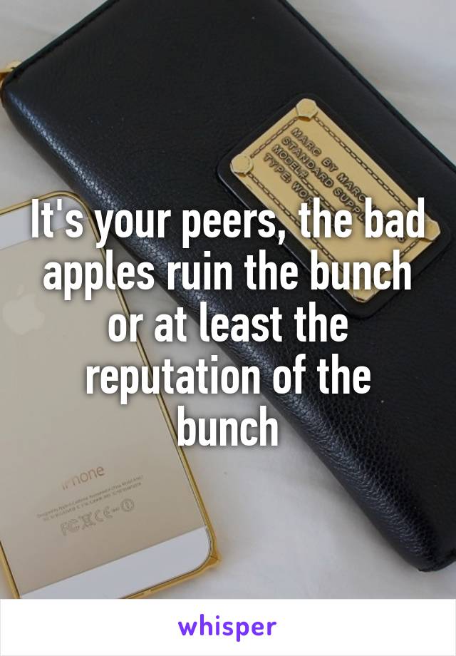 It's your peers, the bad apples ruin the bunch or at least the reputation of the bunch