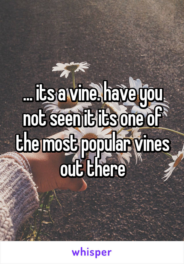 ... its a vine. have you not seen it its one of the most popular vines out there