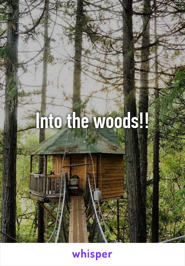 Into the woods!!
