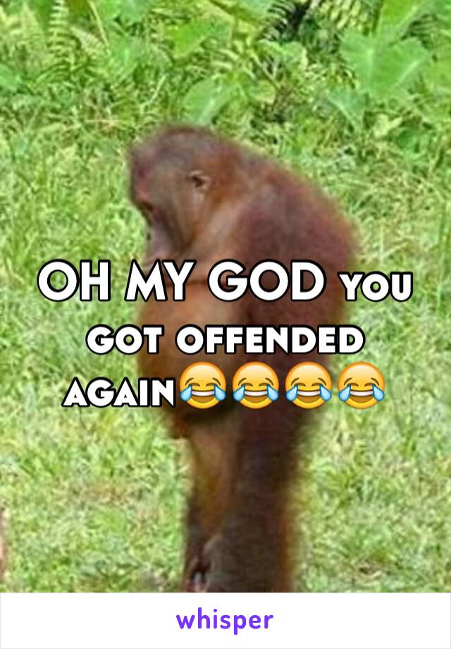 OH MY GOD you got offended again😂😂😂😂