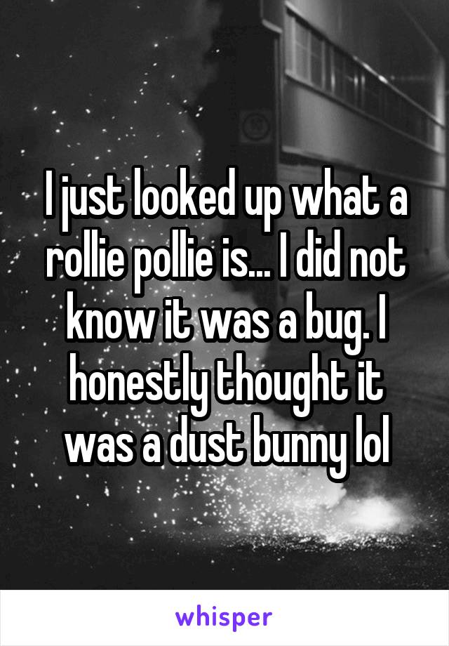 I just looked up what a rollie pollie is... I did not know it was a bug. I honestly thought it was a dust bunny lol