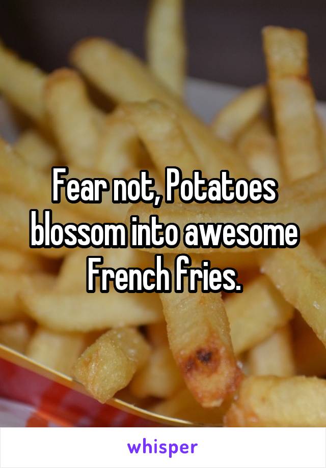 Fear not, Potatoes blossom into awesome French fries.