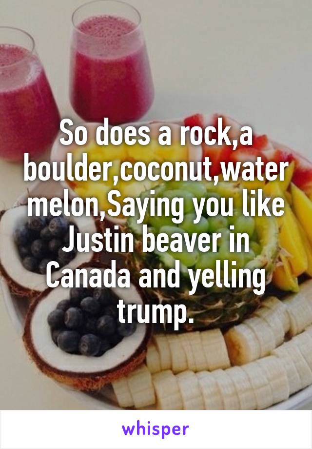 So does a rock,a boulder,coconut,watermelon,Saying you like Justin beaver in Canada and yelling trump.