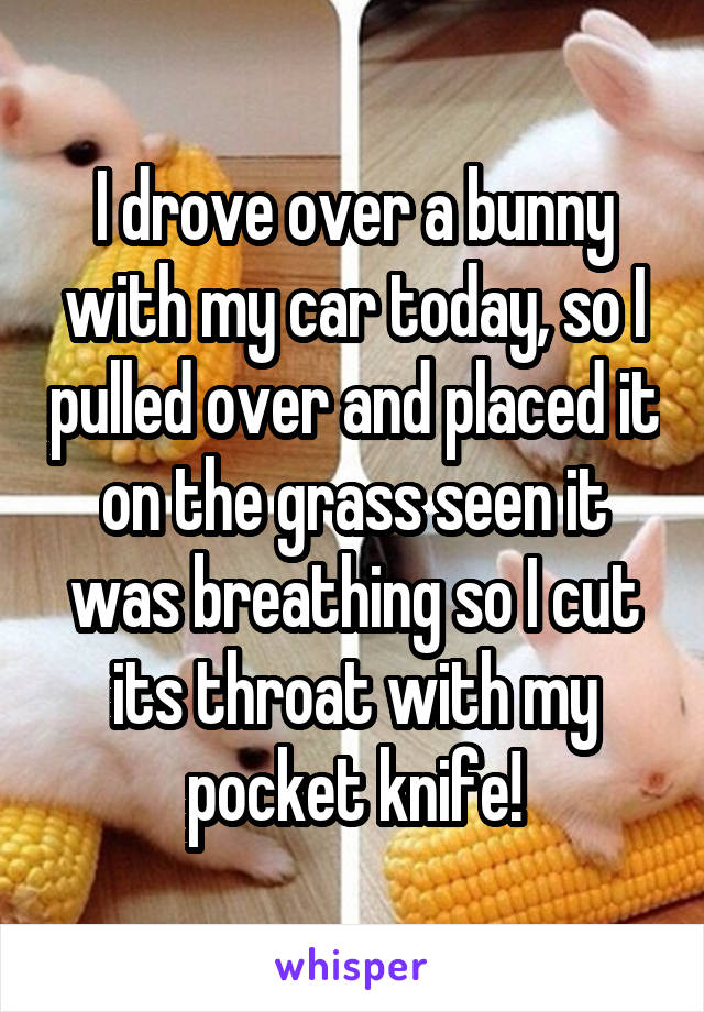 I drove over a bunny with my car today, so I pulled over and placed it on the grass seen it was breathing so I cut its throat with my pocket knife!