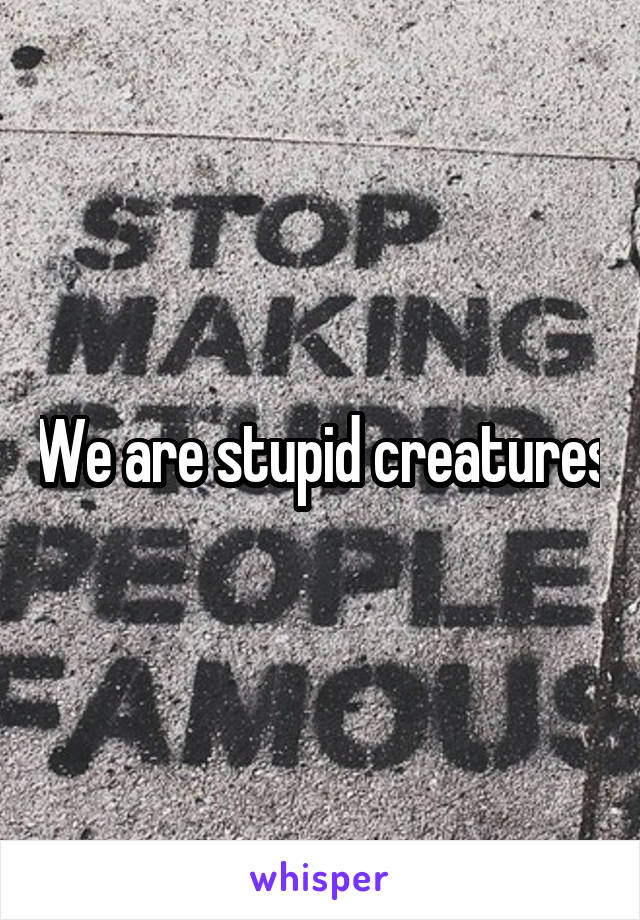 We are stupid creatures