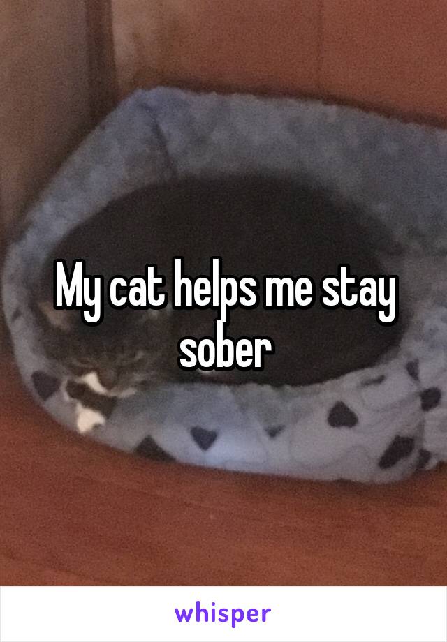 My cat helps me stay sober