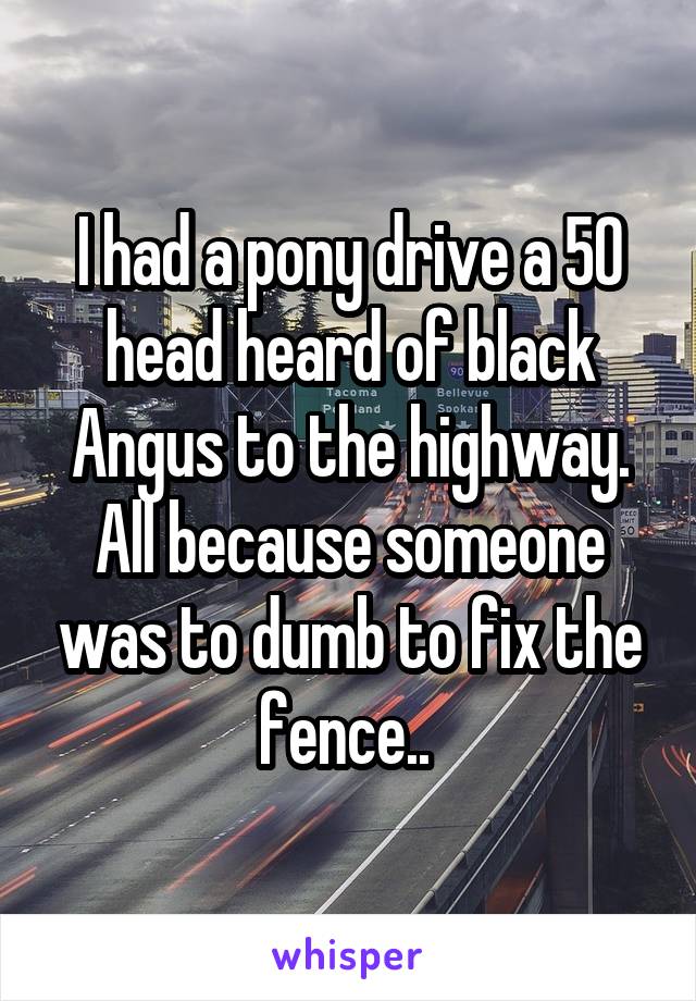 I had a pony drive a 50 head heard of black Angus to the highway. All because someone was to dumb to fix the fence.. 