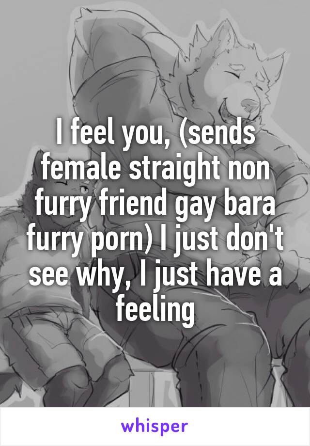 I feel you, (sends female straight non furry friend gay bara furry porn) I just don't see why, I just have a feeling