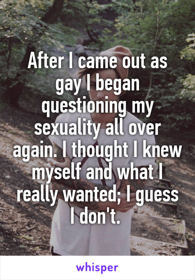 After I came out as gay I began questioning my sexuality all over again. I thought I knew myself and what I really wanted; I guess I don't. 
