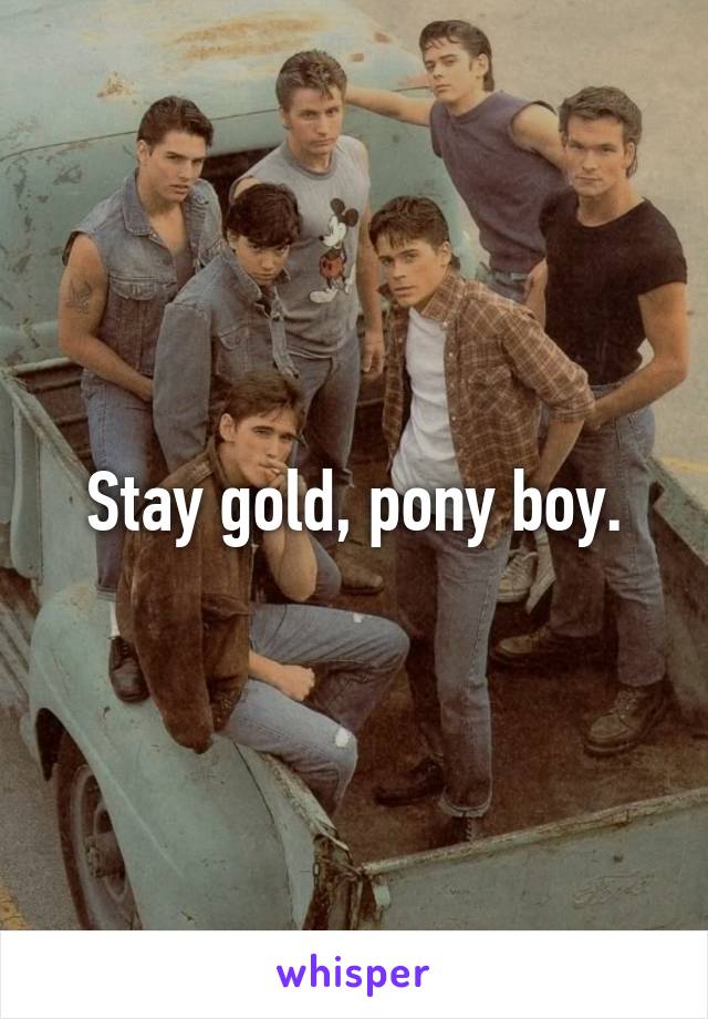 Stay gold, pony boy.