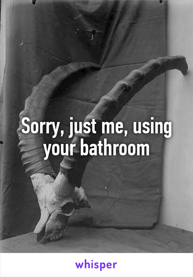 Sorry, just me, using your bathroom