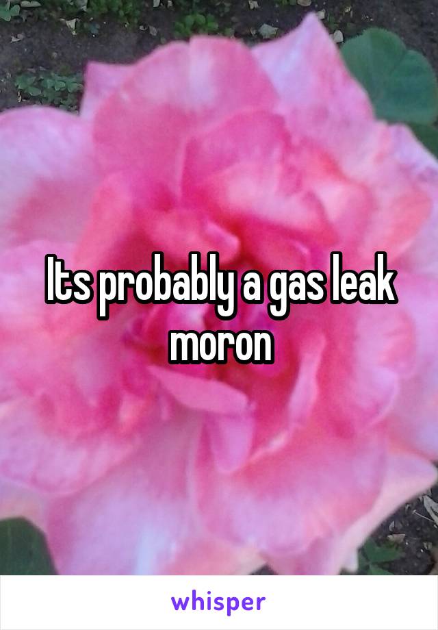 Its probably a gas leak moron