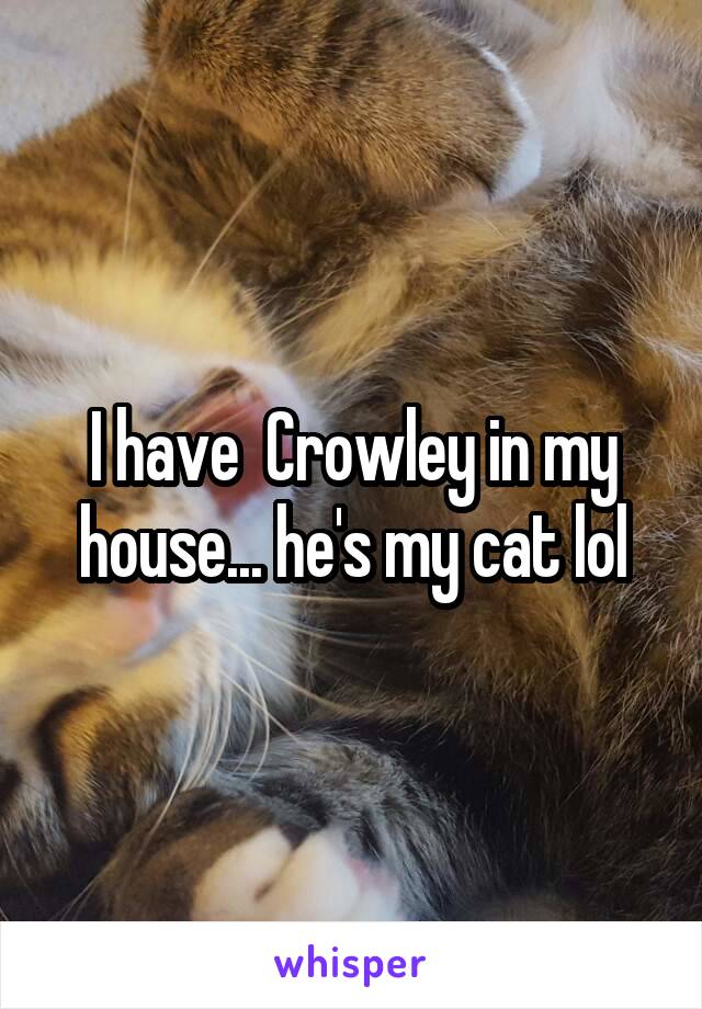 I have  Crowley in my house... he's my cat lol