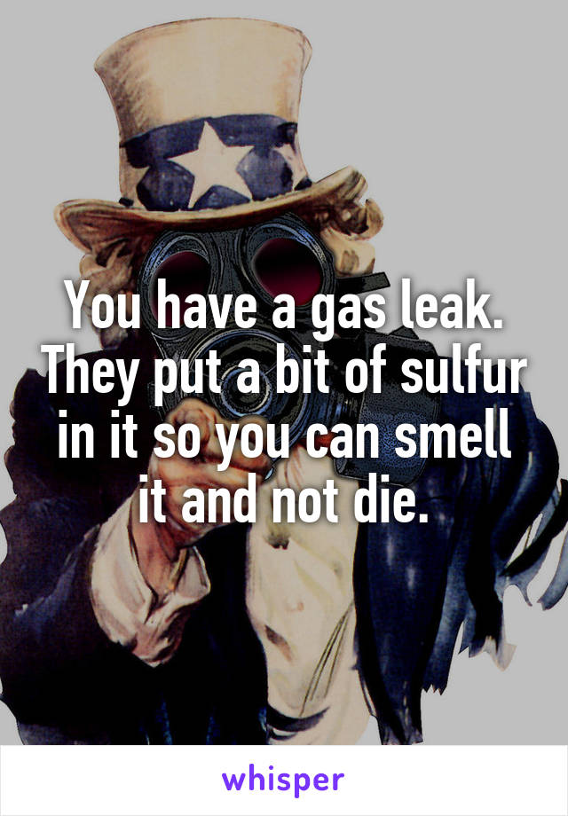 You have a gas leak. They put a bit of sulfur in it so you can smell it and not die.