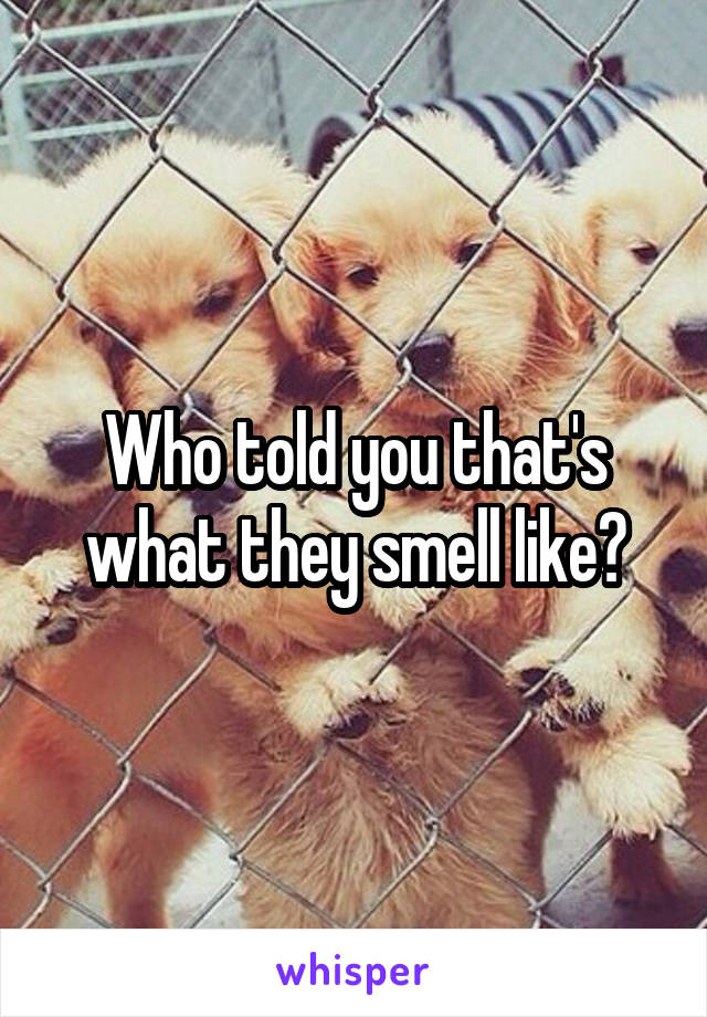 Who told you that's what they smell like?