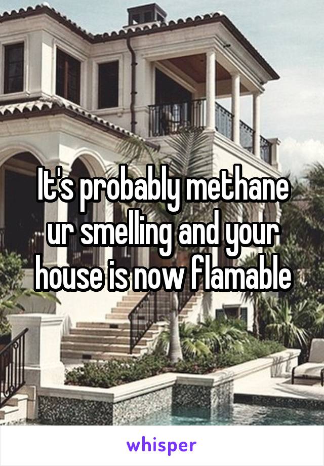 It's probably methane ur smelling and your house is now flamable