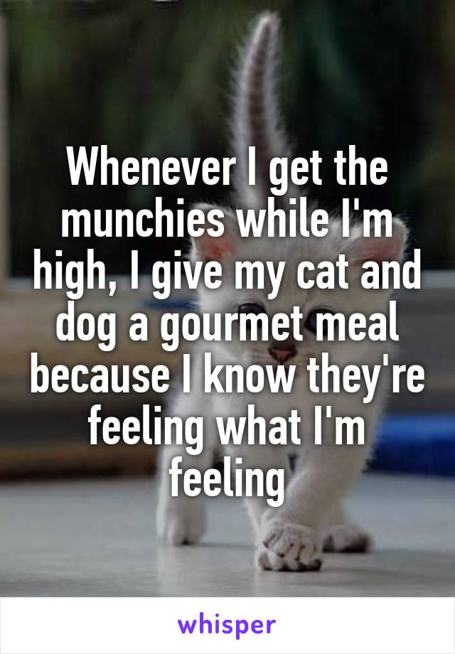 Whenever I get the munchies while I'm high, I give my cat and dog a gourmet meal because I know they're feeling what I'm feeling