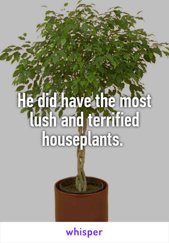 He did have the most lush and terrified houseplants. 