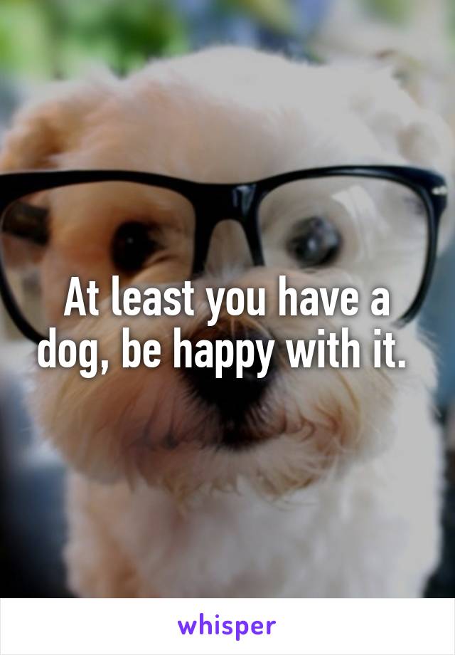At least you have a dog, be happy with it. 