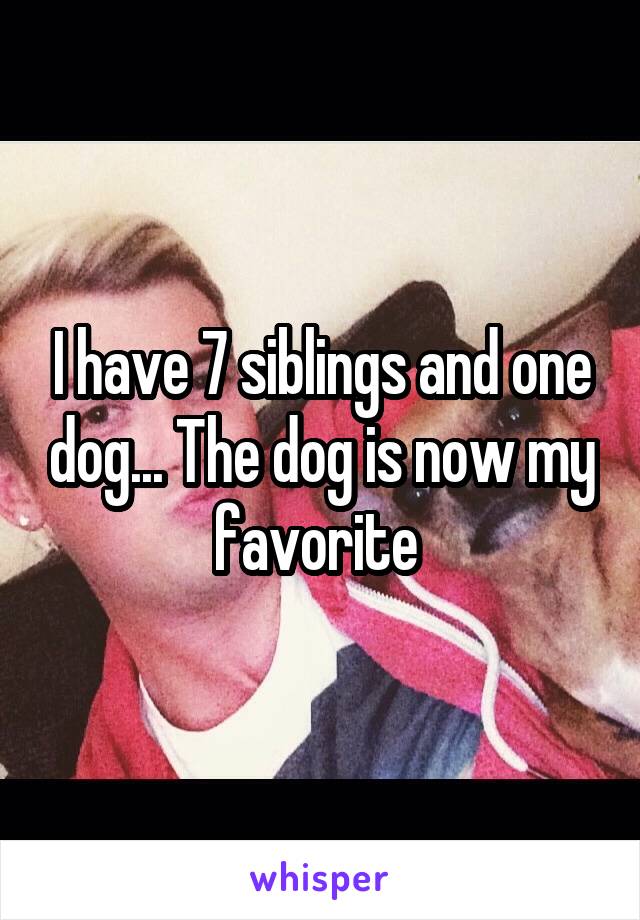 I have 7 siblings and one dog... The dog is now my favorite 