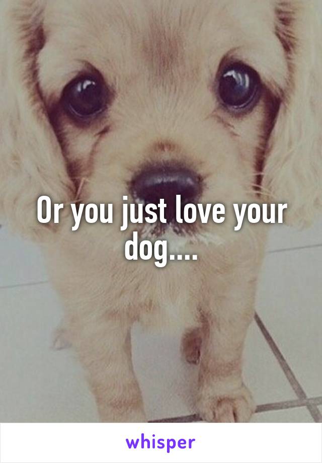 Or you just love your dog....