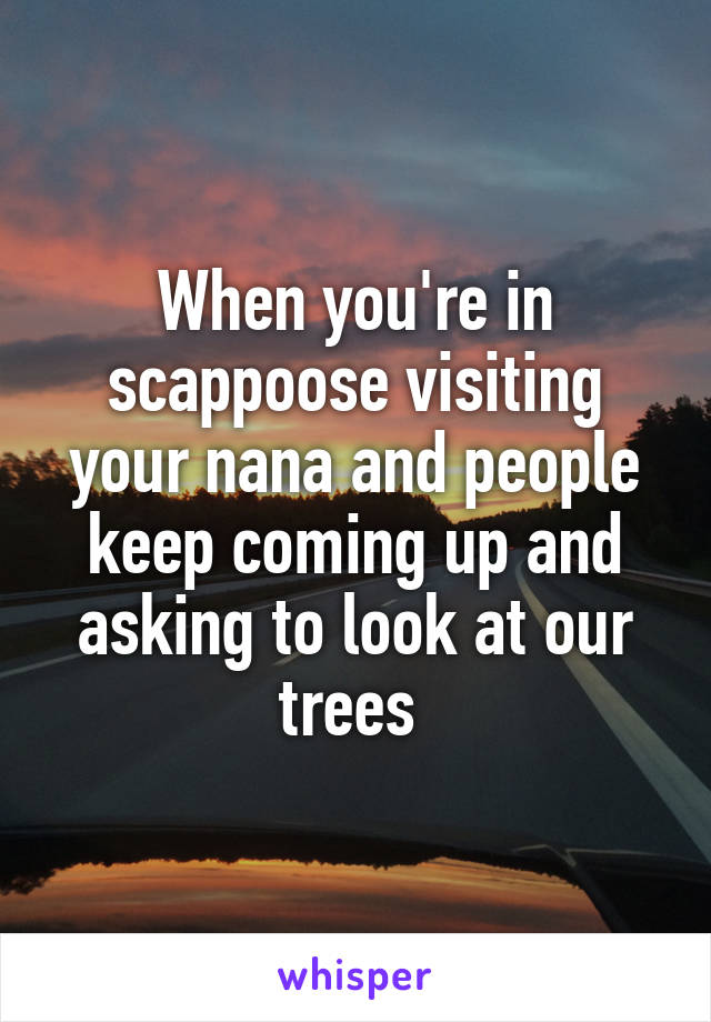 When you're in scappoose visiting your nana and people keep coming up and asking to look at our trees 