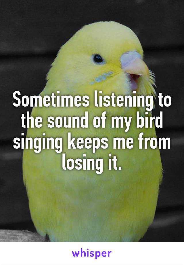 Sometimes listening to the sound of my bird singing keeps me from losing it.