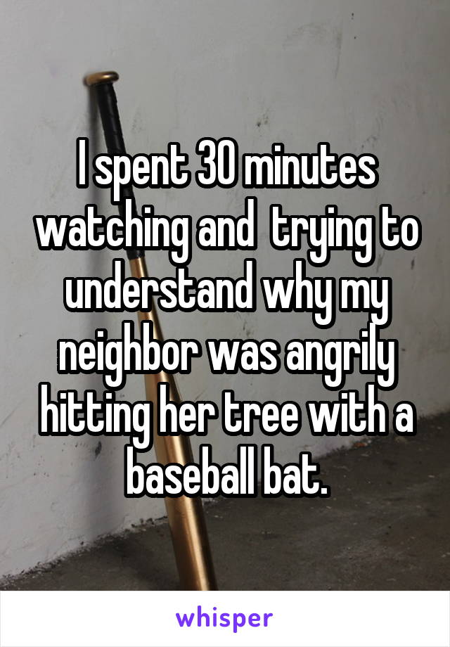 I spent 30 minutes watching and  trying to understand why my neighbor was angrily hitting her tree with a baseball bat.